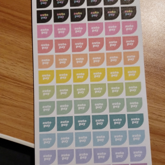 The Happy Planner - Budget (Unused-New) - Picture 12 of 16